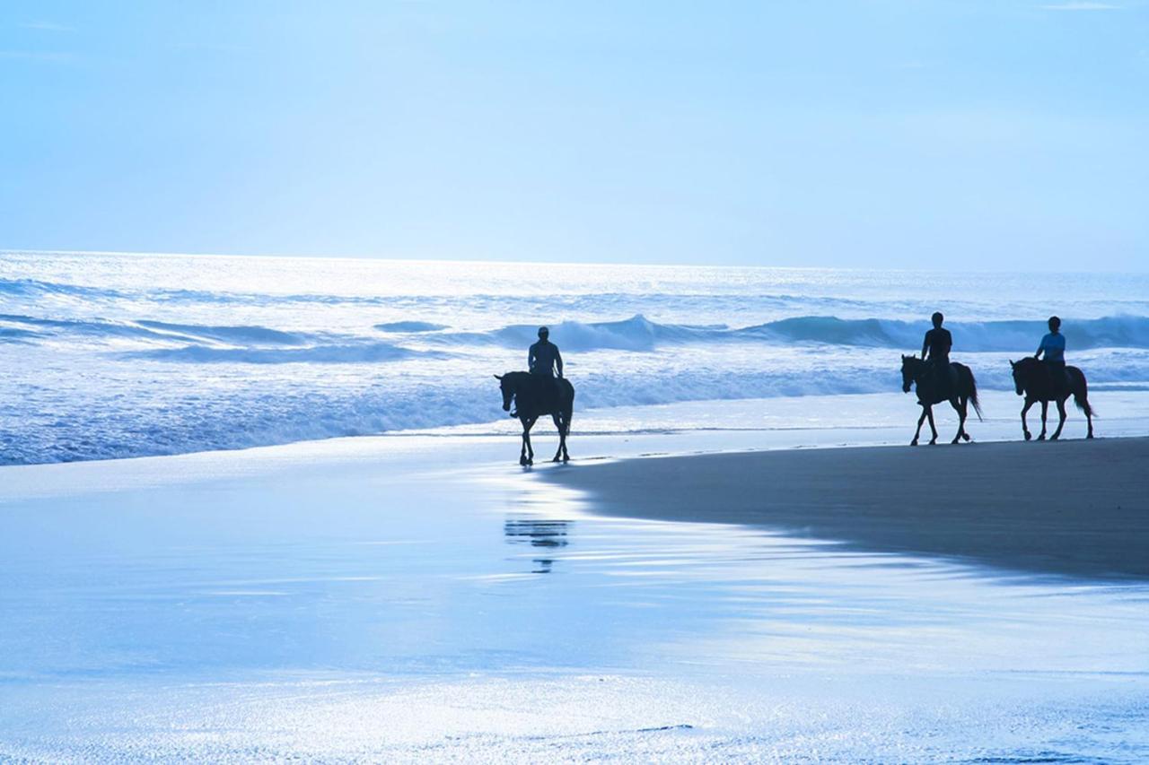 Miramar Beach Home Walk To Beach Trails Restaurants Family Activities ハーフムーンベイ エクステリア 写真